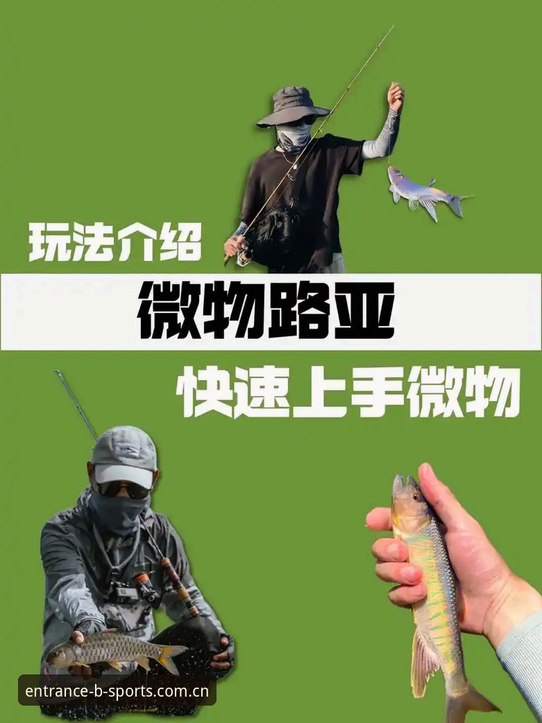 b体育在线平台安卓版下载安装使用教程：新手快速上手指南